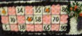 Bingo Ticket